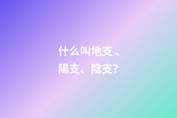 什么叫地支、陽支、陰支？